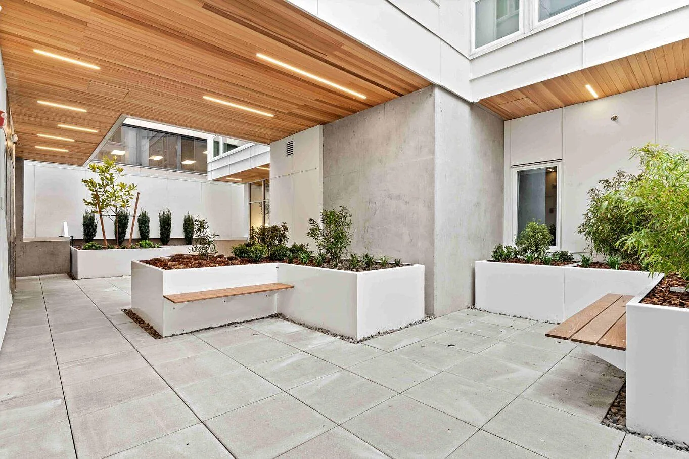 The Verra — Photo 3