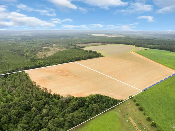 1 Old Stage Rd, Repton, AL 36475