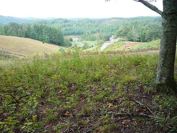 Looking out from property.