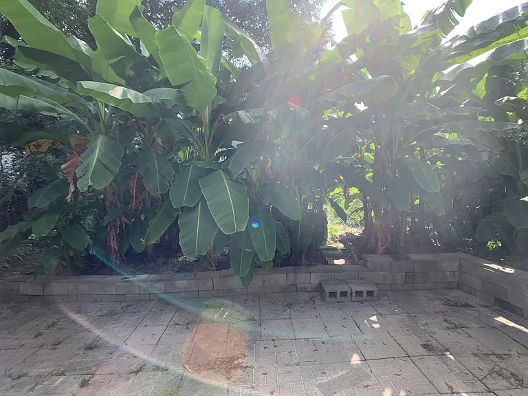 904 Neil St — Photo 11