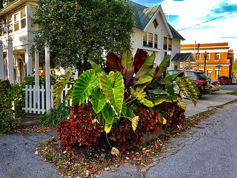 11 Hodgeman St — Photo 11