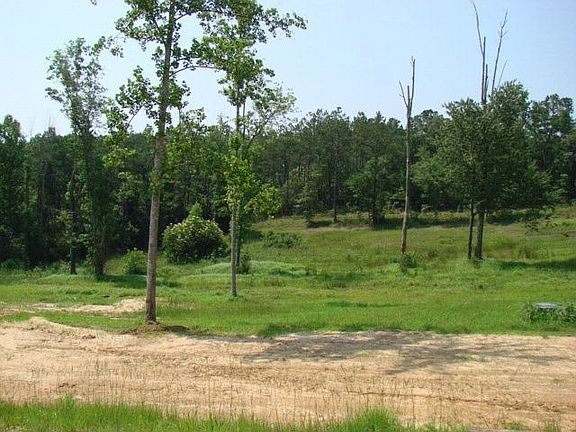 4th image of 10 Magestic Oak