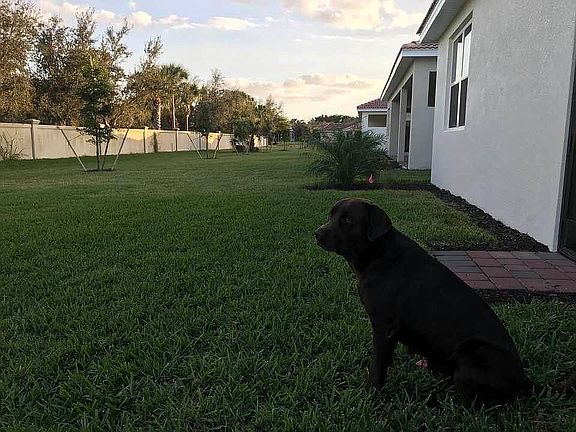 4th image of 24416 Riverfront Dr