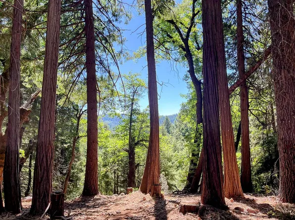 11204 Valencia Rd, Nevada City, CA 95959