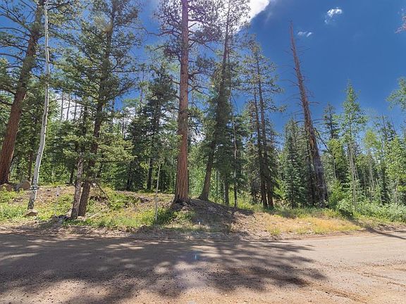 3rd image of 1332 Lake Purgatory Drive