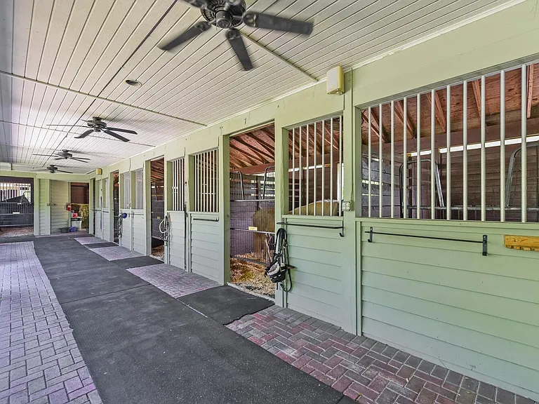 2040 Appaloosa Trl — Photo 9