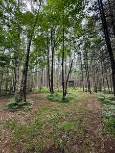 10617 Pat Phalen Rd, Crandon, WI, 54520