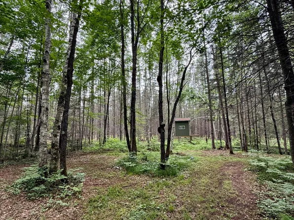 10617 Pat Phalen Rd, Crandon, WI 54520
