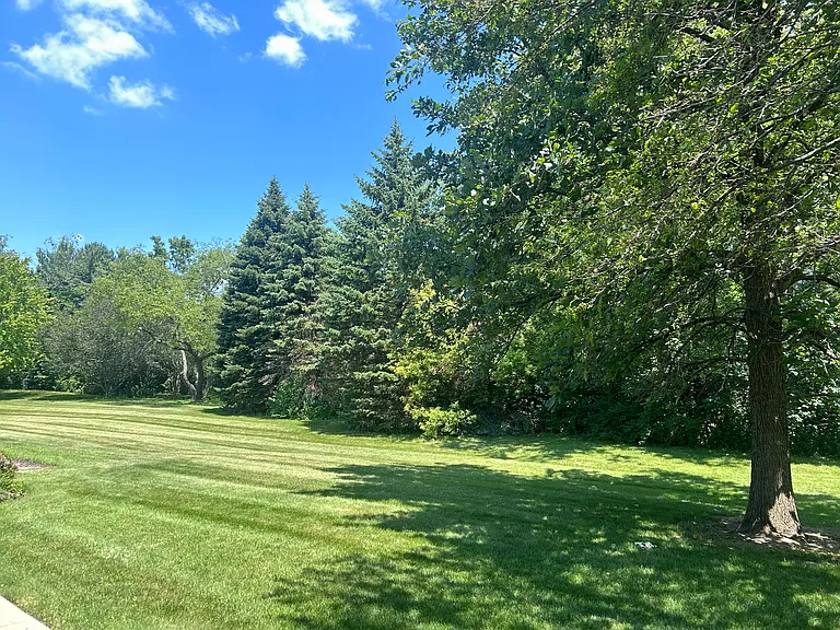 Blue Ridge Dr — Photo 17