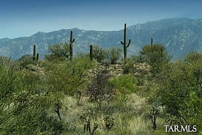 2nd image of 1074 W Tortolita Mountain Cir