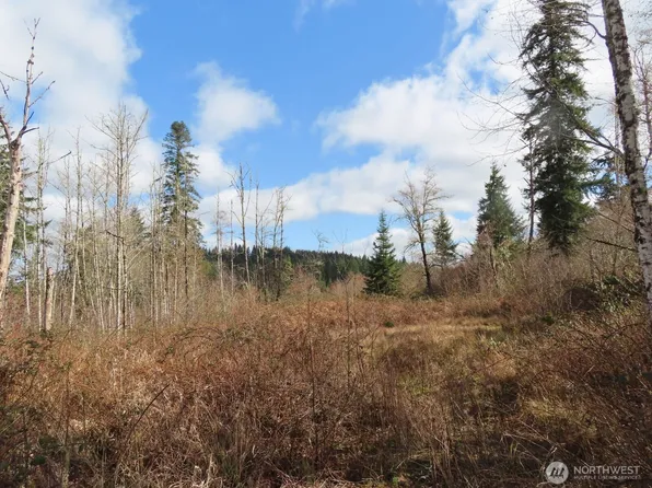 125 Oppelt Road, Chehalis, WA 98532