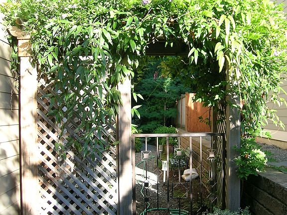 Side yard 