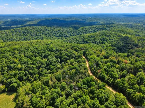 Upper Janes Creek Rd, Ravenden, AR 72459