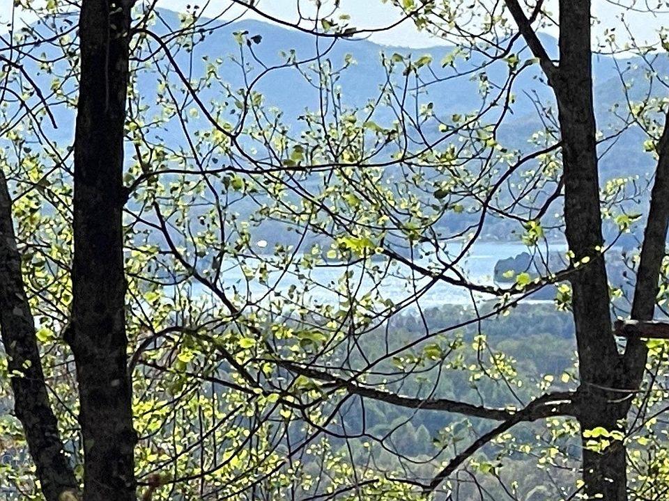 32 High Meadows Dr, Hayesville, NC 28904 MLS 20115486 Zillow