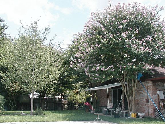 view of  blooming trees