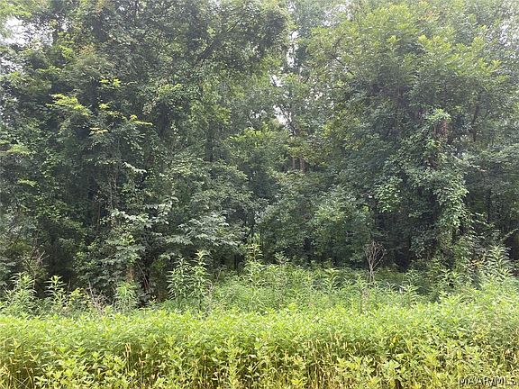 2nd image of 36 Sandy Bottoms Dr