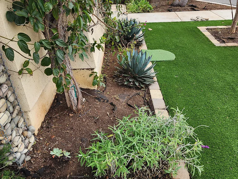 Swaying Palms Way — Photo 2