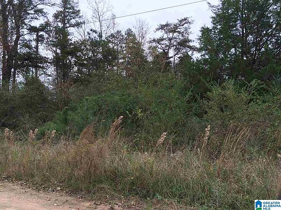 5th image of Posey Ln