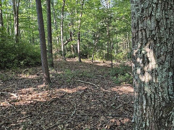 4th image of 436 Ridge Wood Ln Lot 436