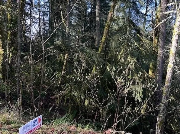 13701 Chein Hill Lane SE, Tenino, WA 98589