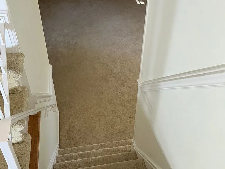 4701 Red Fox Dr — Photo 11