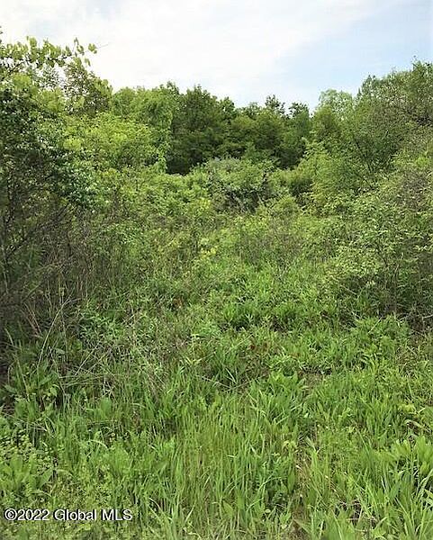 2nd image of 460 Town Line Road
