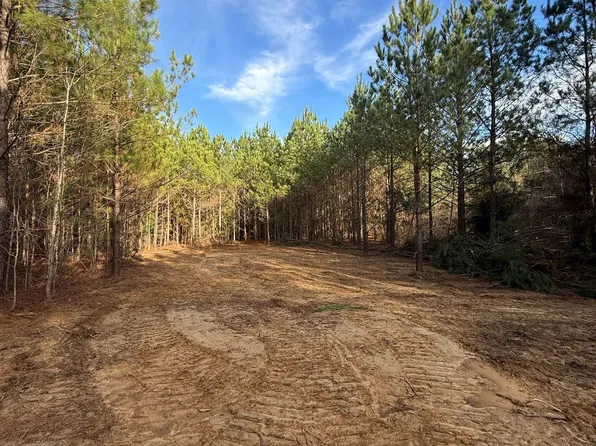 Mount Calvary Church Rd, Louisville, MS 39339