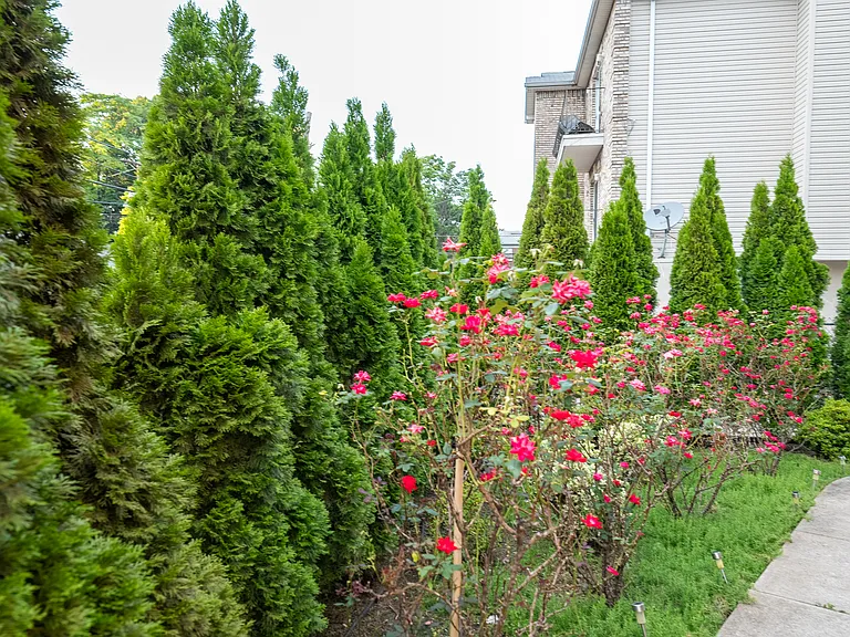 5-9 Marion Pl #3 — Photo 24