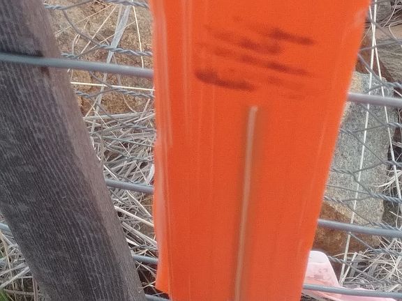 5th image of 3735 W Road Runner Dr