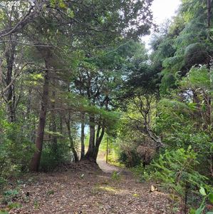 China Mountain Rd, Pt Orford, OR, 97465