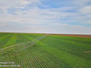 County Road 335, Plains, TX 79355