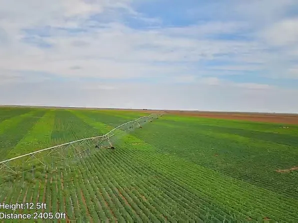 County Road 335, Plains, TX 79355