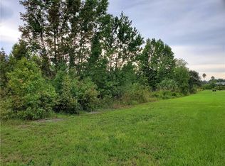 0 Palm Grove Ln, Dover, FL 33527