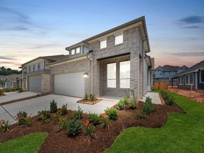 164 W Coralburst Loop, Montgomery, TX, 77316