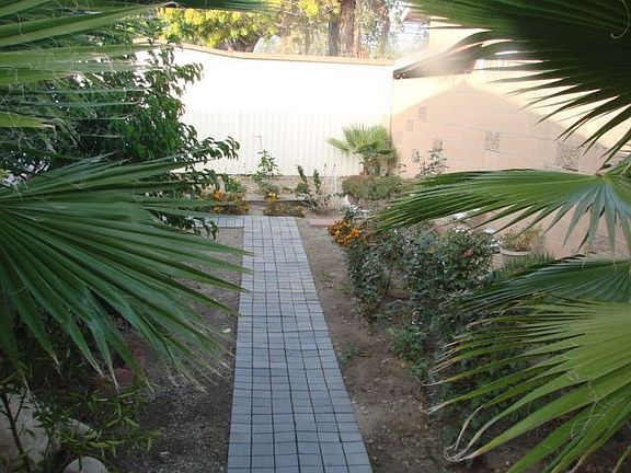 Large backyard with landscaping and block wall 