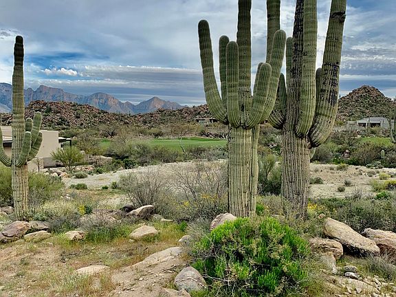 5th image of 1452 W Tortolita Mountain Cir #299