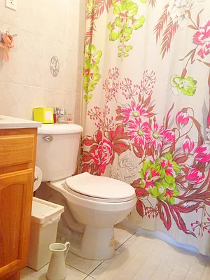 Rented by Bohemia Realty Group | media 36