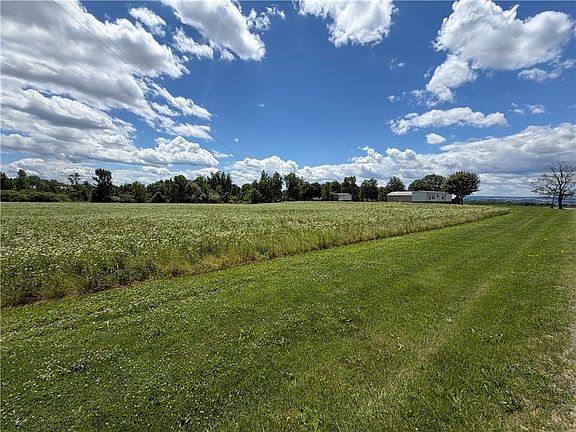 4th image of 8199 County Road 131