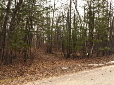 LOT 162 King Henry Cir, Gladwin, MI, 48624