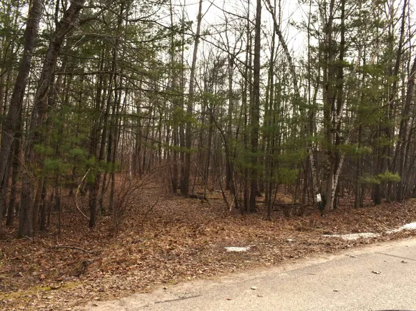 LOT 162 King Henry Cir, Gladwin, MI 48624