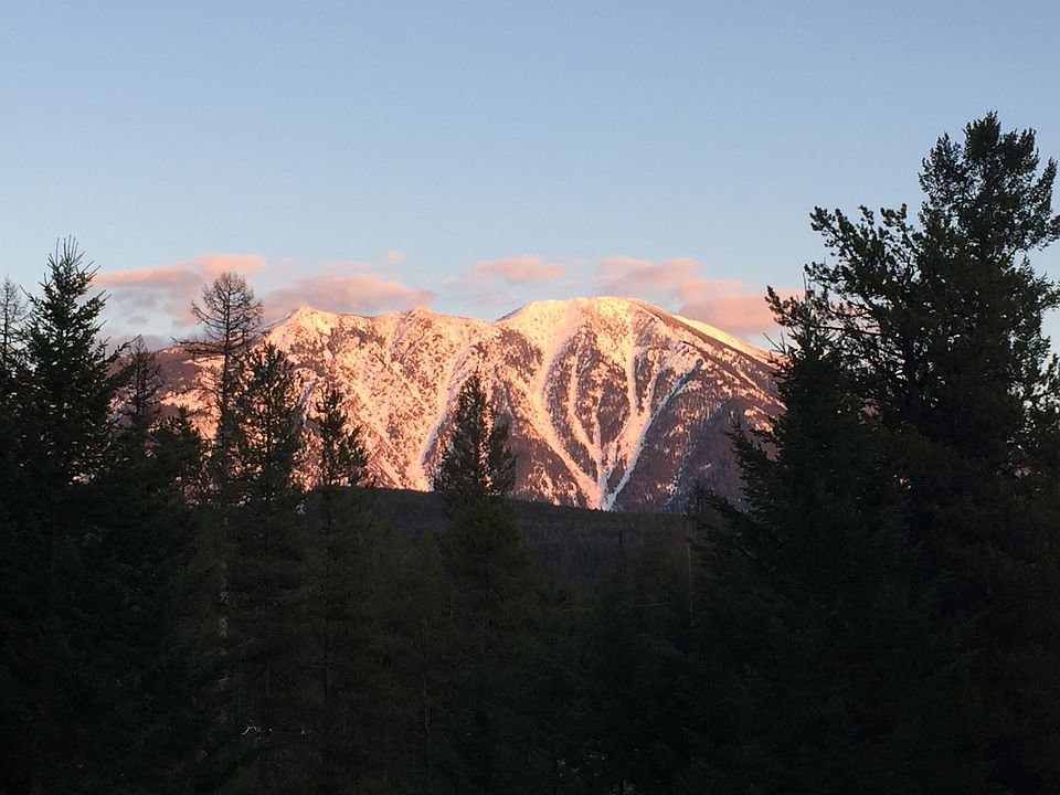 View from deck looking SE.
