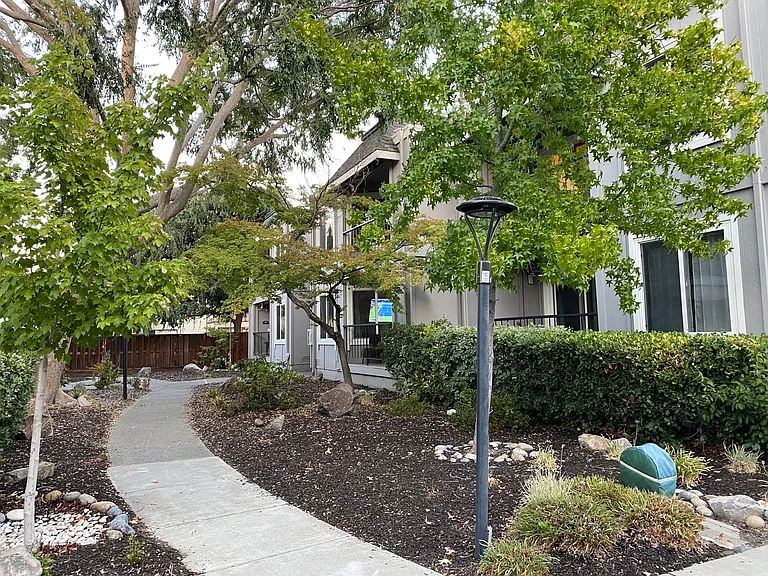 front yard