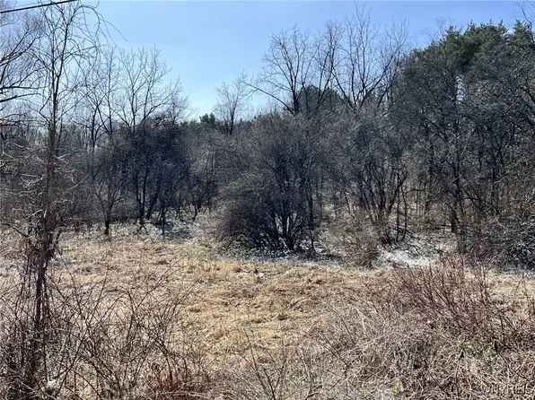 0 Seneca Rd Lot 2, Trumansburg, NY 14886