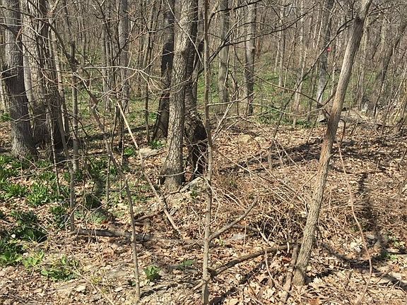 3rd image of 2478 Split Rock Dr
