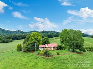61 Brooks Branch Rd, Leicester, NC 28748