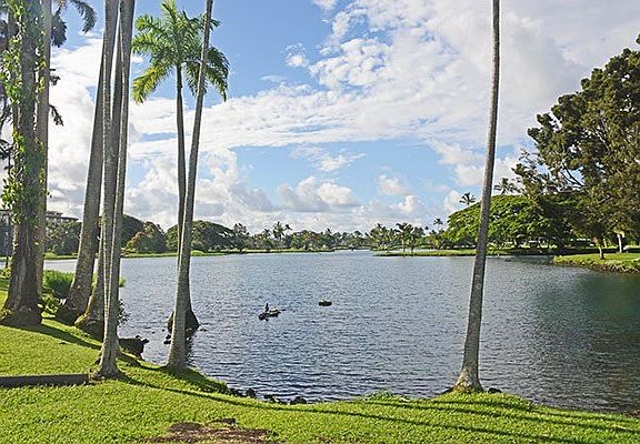 Waiakea Pond 100yds away