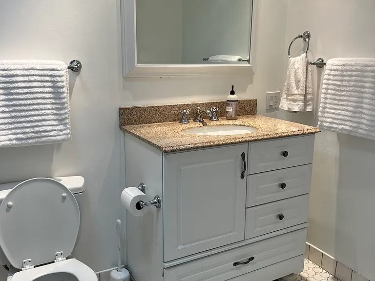 Large Bathroom