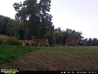 1st image of 5417 Township Road 257