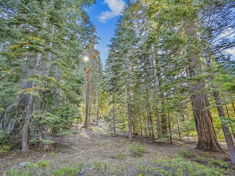 325 Snowbird Loop — Photo 41