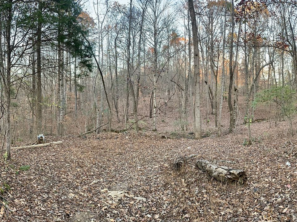 2nd image of 0 William Cooksey Ln Lot 2